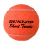 Palldun